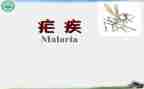2024全国疟疾日宣传活动总结6篇