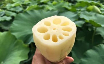 《功夫》观后感6篇