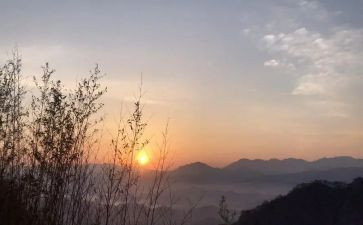 盼春节作文优质5篇