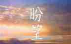 520志愿服务活动总结5篇