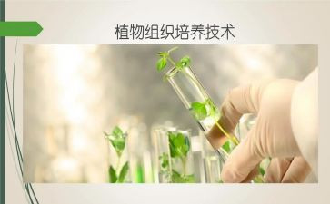双培养心得体会精选6篇