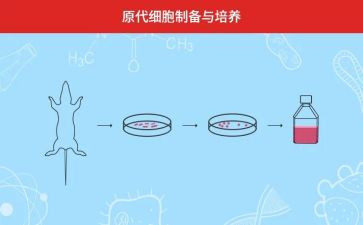 2022年文明礼仪演讲稿6篇