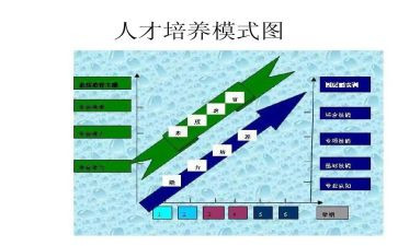 幼儿园被培养青年教师总结8篇