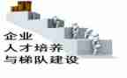 培养青年教师总结7篇