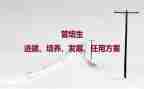 培养孩子爱阅读的心得8篇