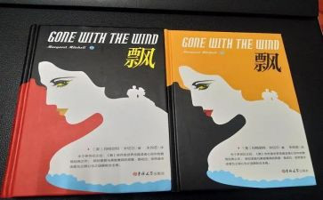 飘的读后感1000字精选8篇