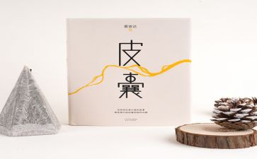 皮囊书读后感优质7篇