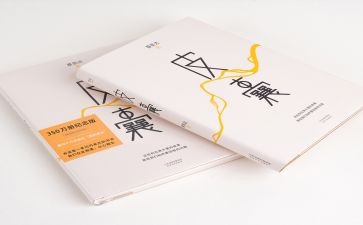 皮囊的心得体会5篇