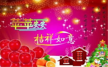中二申请个人总结5篇