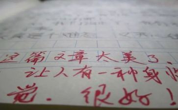 带评语的读后感作文优秀5篇