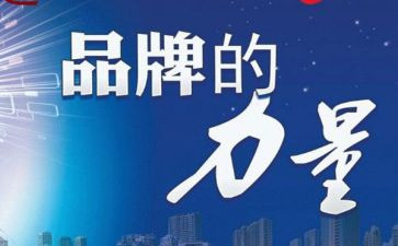 品牌工作总结5篇