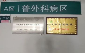 800字实践报告范文5篇