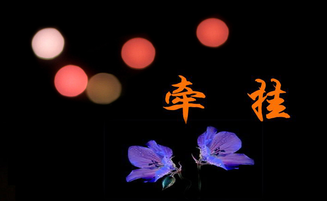 我最牵挂的人作文通用7篇