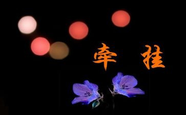 我最牵挂的人作文推荐8篇