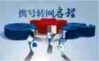 个人工作总结老师7篇