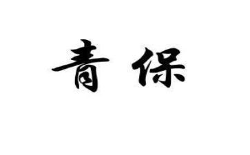 中学青保工作计划优质8篇