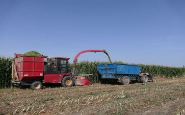 青储收购合同6篇