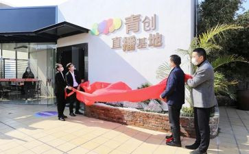 青创讲座心得体会5篇