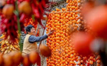 2023年质检的工作计划参考5篇