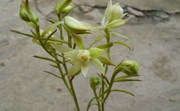 青兰工程心得体会通用8篇