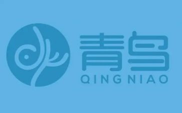 6个人活动总结5篇