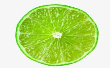 青柠计划作文5篇