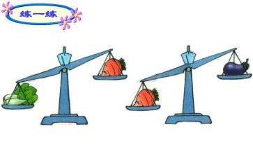 比较轻重教案7篇