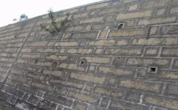个人教育实习工作总结7篇