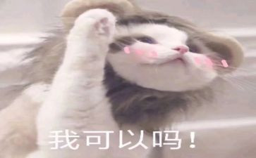 学生会辞职申请书参考6篇