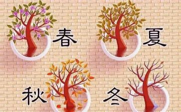 119消防宣传活动总结范文5篇
