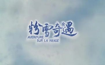 读木偶奇遇读后感优质6篇