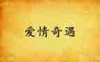 奇遇读后感通用5篇
