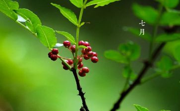 丁00读后感优质8篇
