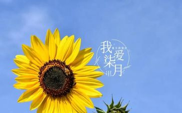 幼儿园七月份月总结6篇