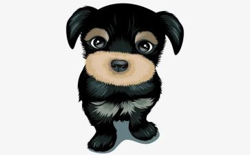 读双面猎犬读后感参考7篇