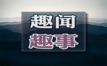 写童年趣事的作文500字推荐6篇