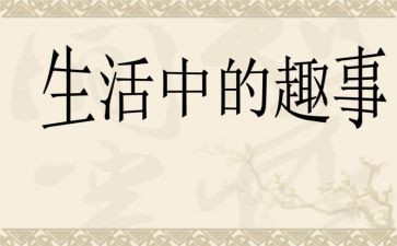 写假期趣事的作文7篇