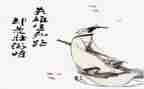 教师德能述职报告优质5篇