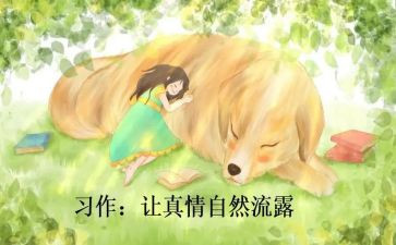 3分钟师德的演讲稿5篇