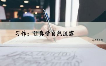 2023年教师国培心得6篇