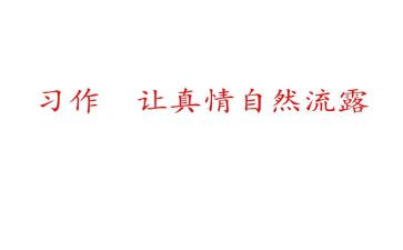 与象同行演讲稿7篇