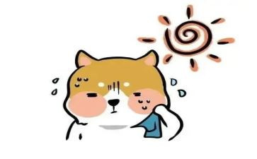 珍爱生命热爱生活演讲稿5篇