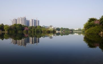 2023保险公司工作计划模板7篇