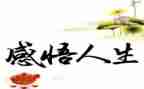 感悟人生作文800字6篇
