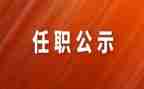 任职工作总结和工作总结8篇