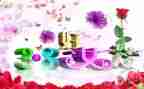 三八妇女节的活动方案最新8篇