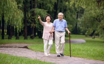 散步教案参考5篇