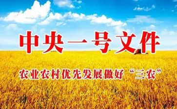 三农的心得体会8篇