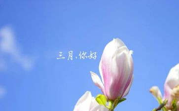 一年级教师的心得体会8篇