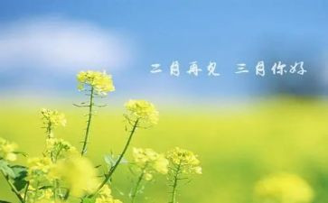 幼儿园教师三月份工作总结5篇